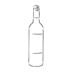 Sketch wine bottle . wine bottle, vector sketch illustration