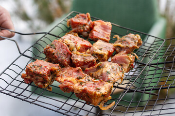 Raw marinaded juicy pork meat in grill grates. Fresh food prepared for barbeque. Summer cooking outdoors