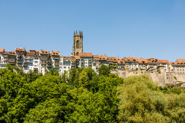 Fribourg, Freiburg, Kathedrale, St. Nikolaus, Altstadt, Altstadthäuser, Stadt, historische Häuser, Stadtspaziergang, Sommer, Schweiz
