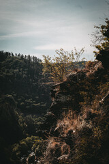 German landscapes on the Moselle