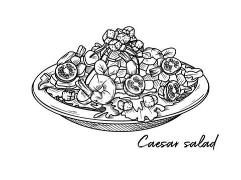 Caesar salad with shrimp isolated on a white background. Sketch Italian dishes. Vector illustration