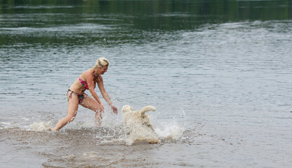 Blonde caucasian white woman in bikini playing with hasky dog in the river and enjoying nice summer day. Pet lover with her hasky dog