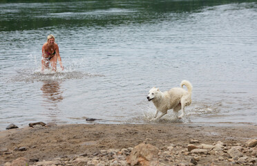 Blonde caucasian white woman in bikini playing with hasky dog in the river and enjoying nice summer day. Pet lover with her hasky dog