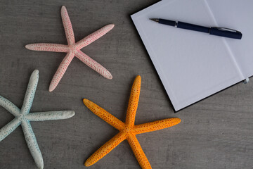 Blank closed booklet and starfish