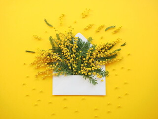 Bouquet of mimosa flowers in white envelope on yellow background