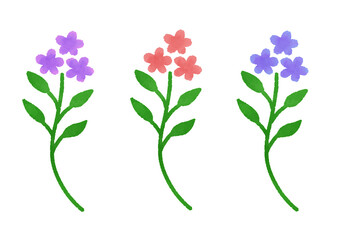 花　フラワー　植物　セット