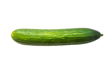 Fresh long green cucumber isolated on white background.