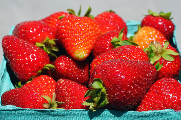 Green baskets of juicy sweet red strawberries