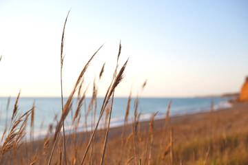 Fototapeta premium beautiful view of the sea and the sky at sunset