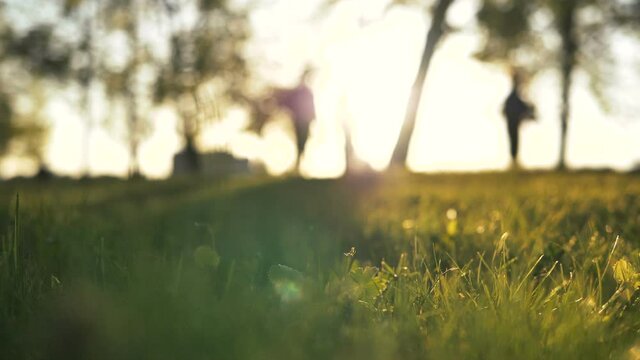 close-up of grass in the sunshine on a background of blurry people on electric scooters in a park at sunset, camera slow motion