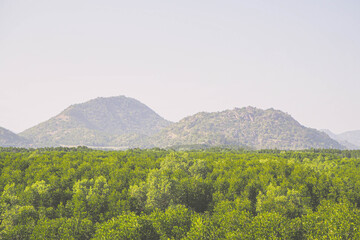 Fototapeta premium Aerial view of beautiful natural scenery river in mangrove forest and mountains in Phang Nga province Thailand