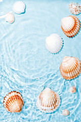 Beautiful crystal clear water swirling and rippling, sea shells underwater. World ocean day card with shells and blue water