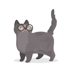 Funny cat with glasses. Cat sticker with a serious look. Good for stickers, t-shirts and postcards. Isolated. Vector.