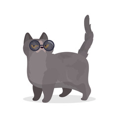 Funny cat with glasses. Cat sticker with a serious look. Good for stickers, t-shirts and postcards. Isolated. Vector.