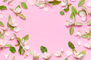 Obraz na płótnie Canvas Spring nature background. Beautiful blooming spring flowers with green leaves on pink background flat lay top view. Springtime concept, flowers composition, bloom delicate flowers. Flower pattern