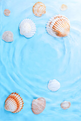 Beautiful crystal clear water swirling and rippling, sea shells underwater. World ocean day card with shells and blue water