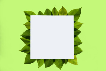 Frame for text made of fresh green leaves, isolated on green background, creative minimalism.