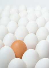 Egg brown among a multitude of white eggs. Difference concept.