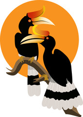 Hornbill birds are beautiful bird and faithful to the couple themselves.