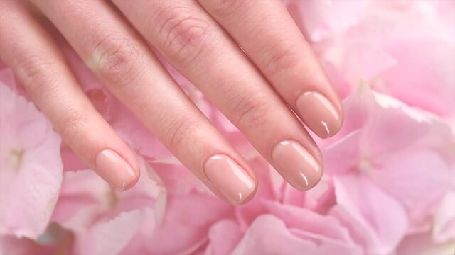 Manicure, Beautiful Woman's hands, Spa and Manicure concept. Female hands with beautiful natural pink french elegant manicure. Soft skin, skincare concept. Beauty nails. Salon. Slow motion 4K UHD.