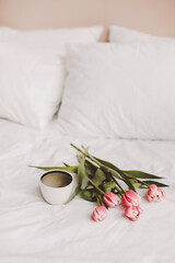 Coffee cup and tulips in bed. Concept of holiday, birthday, Women Day. Breakfast in bed. Good morning. still life, flat lay