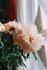 peonies