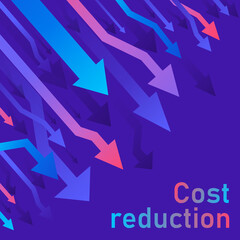 Cost reduction crisis