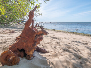 Old equipment from car on beach