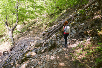 Hiker on mountain trail