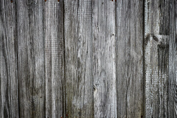 Grunge gray wood plank texture