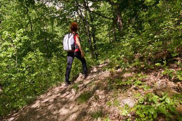 Hiker on mountain trail