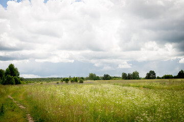 cloudy sky clouds after rain trees summer