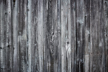 Grunge gray wood plank texture