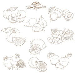 Set of Outline hand drawn fruits with leaves( apple, pear, apricot, plum, orange, lemon, grape, pomegranate, grapefruit, peach)