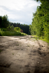 cloudy sky clouds after rain trees summer 