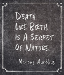 like birth Aurelius quote