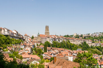 Fototapeta premium Fribourg, Freiburg, Kathedrale, St. Nikolaus, Altstadt, Rathaus, Altstadthäuser, Stadt, Stadtrundgang, Sommer, Schweiz 