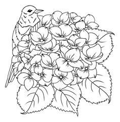 Illustration. Goldfinch sits on the flowers of a lilac. Coloring book. Antistress for adults and children.  Black and white.