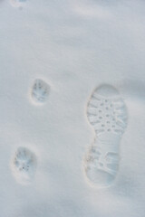 Footprints of human and dog on white snow close up.