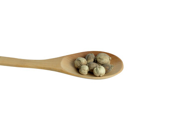 Dried Cardamom / cardomum / Amomum testaceum on wooden spoon, isolated in white background. 
