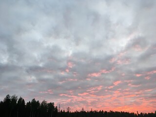 sunset over the forest