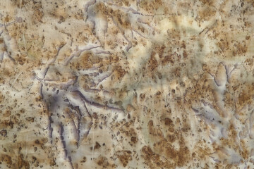 Fragment of hand-dyed fabric using eco-print technique