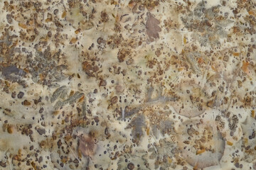 Fragment of hand-dyed fabric using eco-print technique