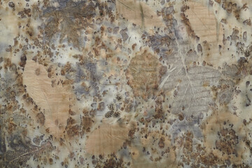 Fragment of hand-dyed fabric using eco-print technique