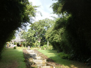 Brief Garden