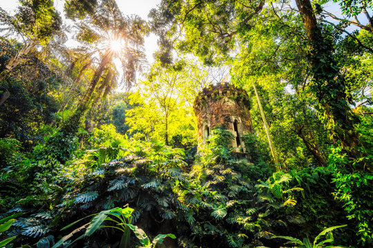 Beautiful Sunlight Illuminating Old Ruins and Green Trees in Lage Park, Botanic Garden in Rio de Janeiro, Brazil