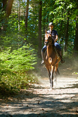 jeune fille cavalière adolescente montant un cheval pur-sang irlandais brun faisant une randonnée équestre en forêt en Belgique au printemps 