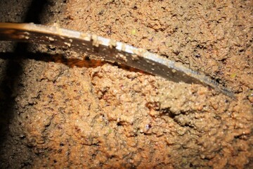 Greece, Attica, olive paste in malaxation tank during extra virgin olive oil extraction process in olive oil mill.