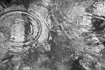 Fototapeta premium Abstraction in a puddle of water