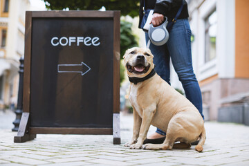 Woman with a dog stand next to a billboard with the inscription coffee on the street in city.